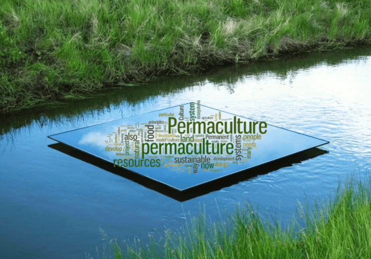 Schermata 2017-08-22 alle 09.00.42